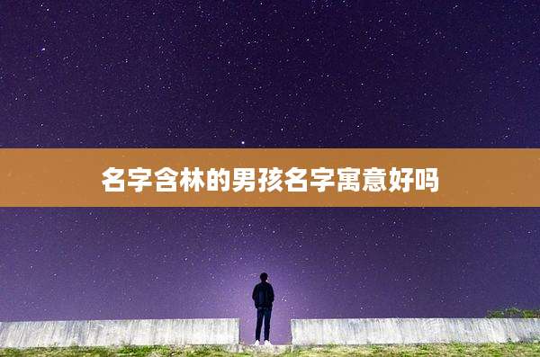 名字含林的男孩名字寓意好吗