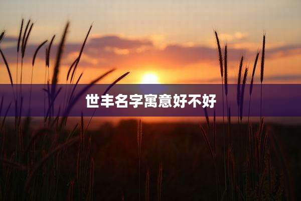 世丰名字寓意好不好