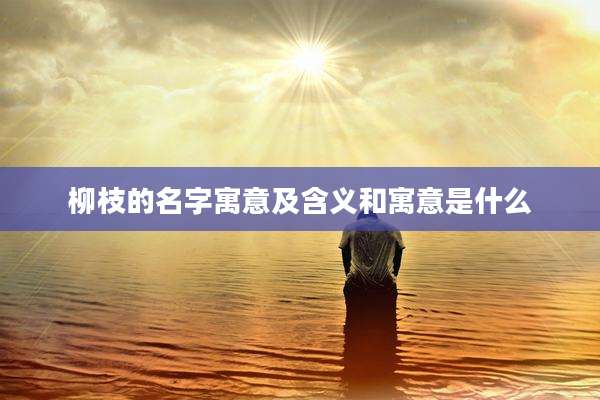 柳枝的名字寓意及含义和寓意是什么