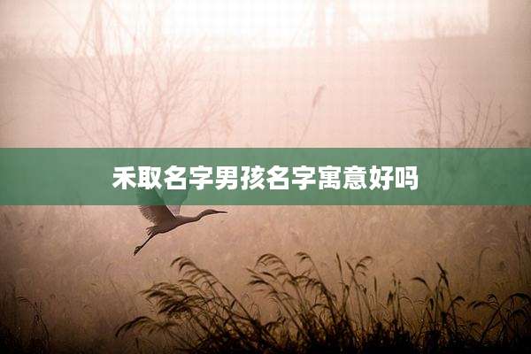 禾取名字男孩名字寓意好吗