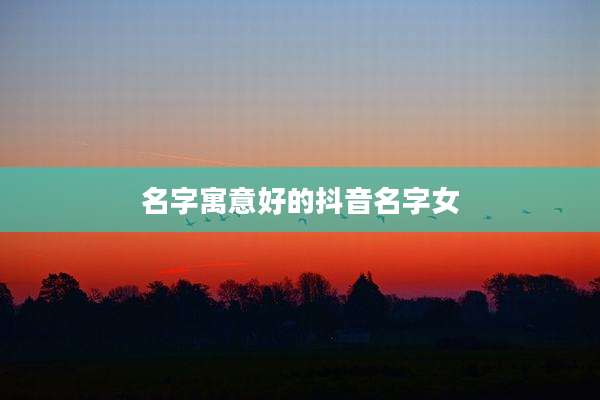 名字寓意好的抖音名字女