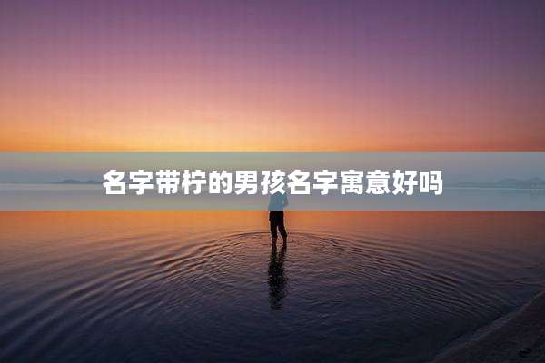 名字带柠的男孩名字寓意好吗