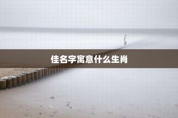 佳名字寓意什么生肖