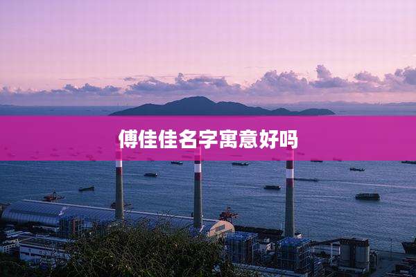 傅佳佳名字寓意好吗