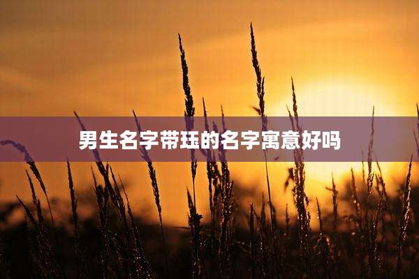 男生名字带珏的名字寓意好吗
