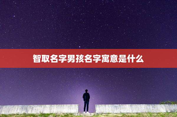 智取名字男孩名字寓意是什么