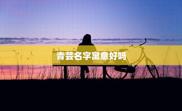青芸名字寓意好吗