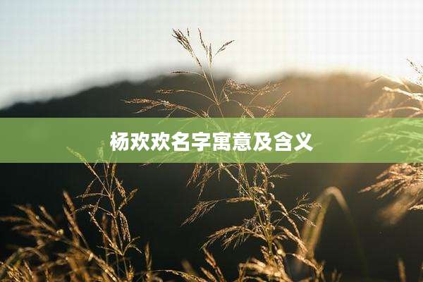 杨欢欢名字寓意及含义