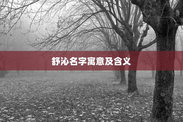 舒沁名字寓意及含义