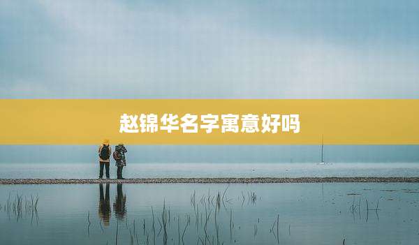 赵锦华名字寓意好吗