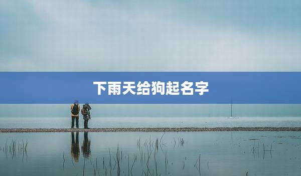 下雨天给狗起名字