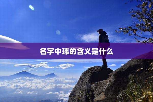 名字中玮的含义是什么