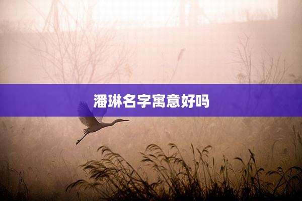 潘琳名字寓意好吗