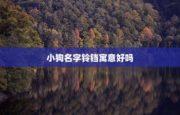 小狗名字铃铛寓意好吗