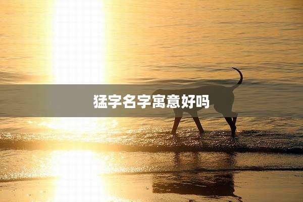 猛字名字寓意好吗