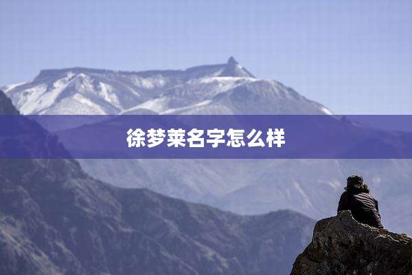 徐梦莱名字怎么样