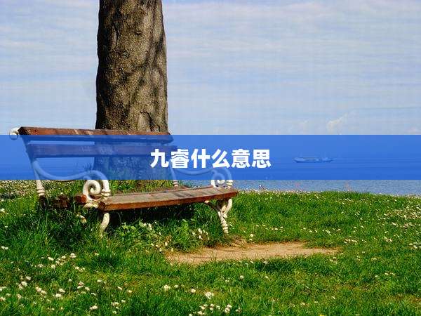 九睿什么意思