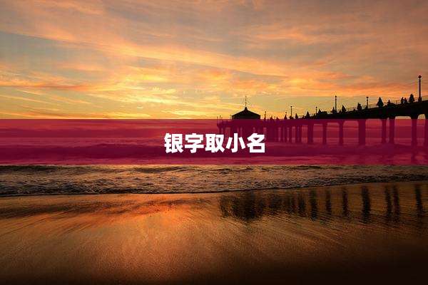 银字取小名
