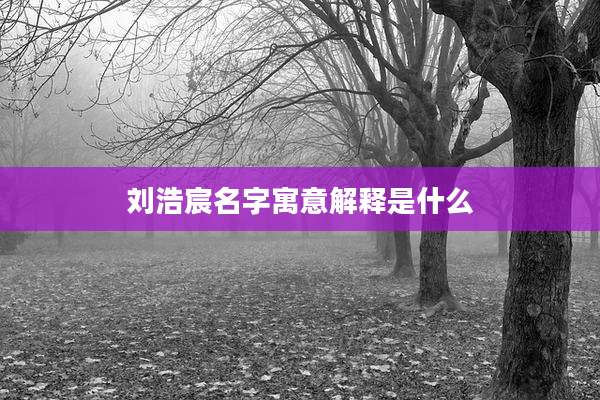 刘浩宸名字寓意解释是什么