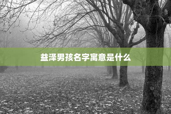 益泽男孩名字寓意是什么