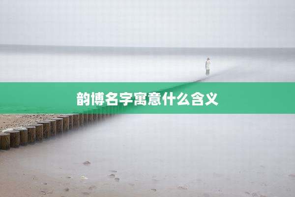 韵博名字寓意什么含义