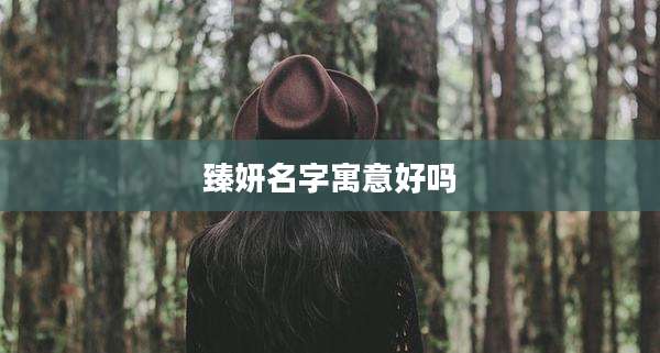 臻妍名字寓意好吗