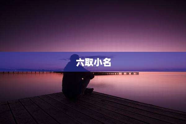 六取小名
