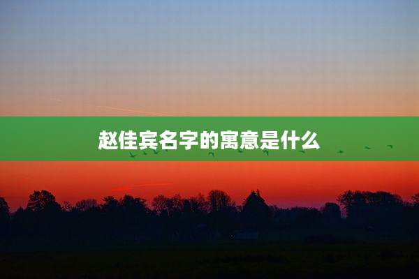 赵佳宾名字的寓意是什么