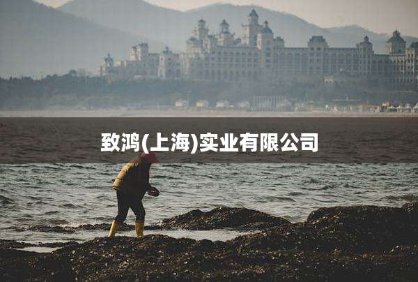 致鸿(上海)实业有限公司