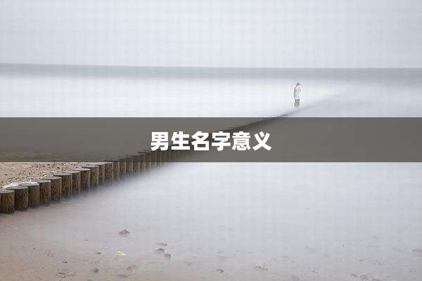 男生名字意义