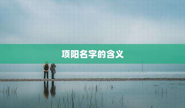 项阳名字的含义