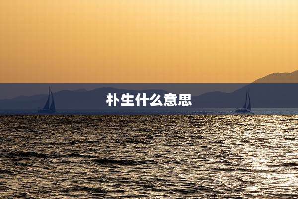 朴生什么意思