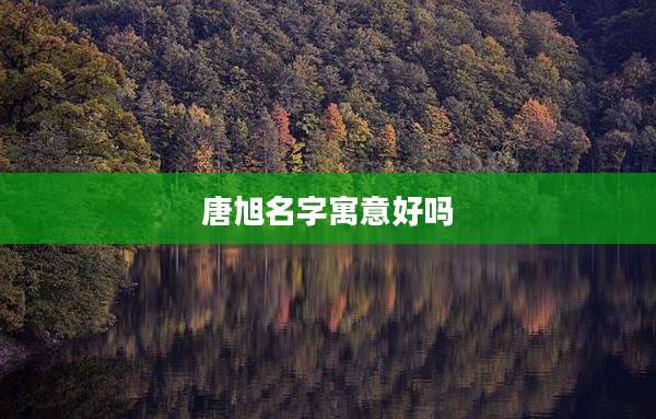 唐旭名字寓意好吗