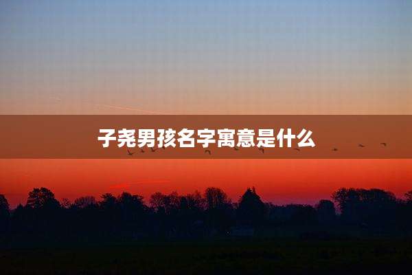 子尧男孩名字寓意是什么