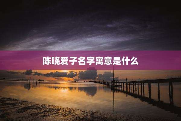 陈晓爱子名字寓意是什么