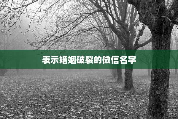 表示婚姻破裂的微信名字