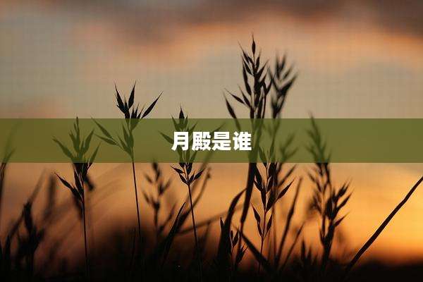 月殿是谁