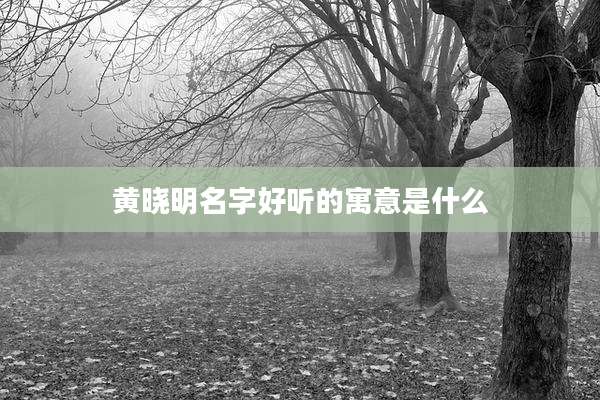 黄晓明名字好听的寓意是什么