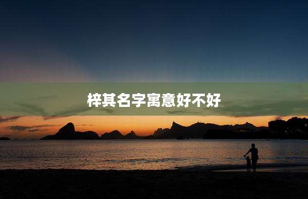 梓其名字寓意好不好
