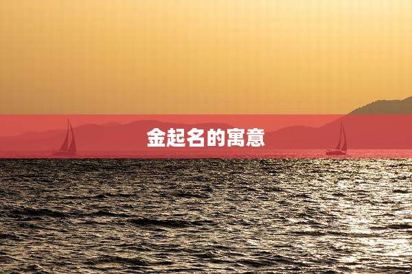金起名的寓意