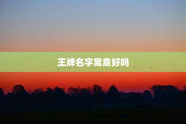 王牌名字寓意好吗