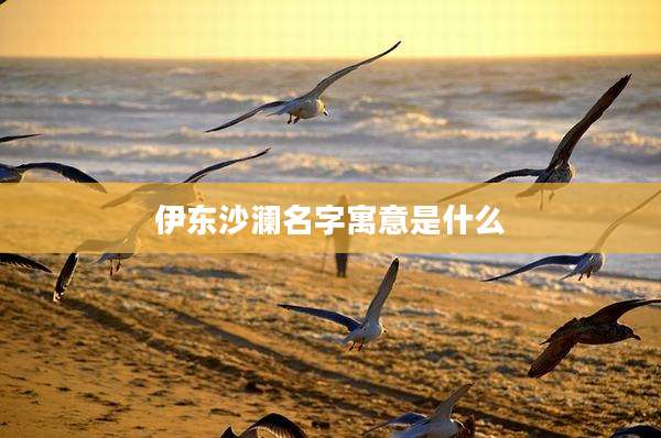 伊东沙澜名字寓意是什么