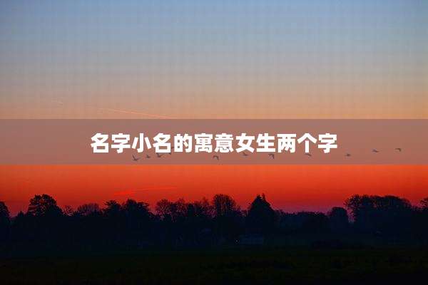名字小名的寓意女生两个字