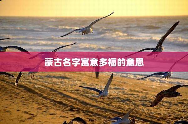 蒙古名字寓意多福的意思