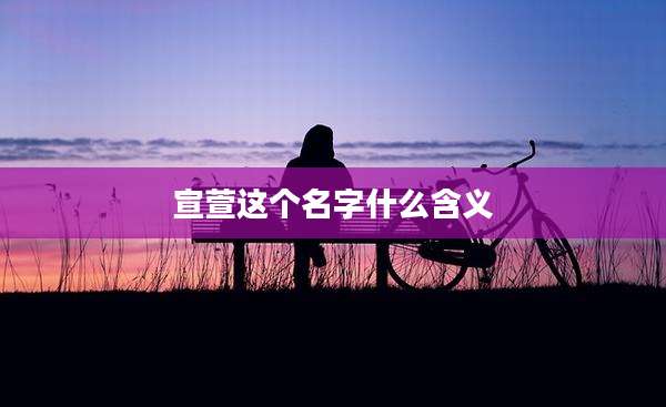 宣萱这个名字什么含义