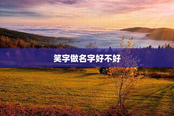 笑字做名字好不好