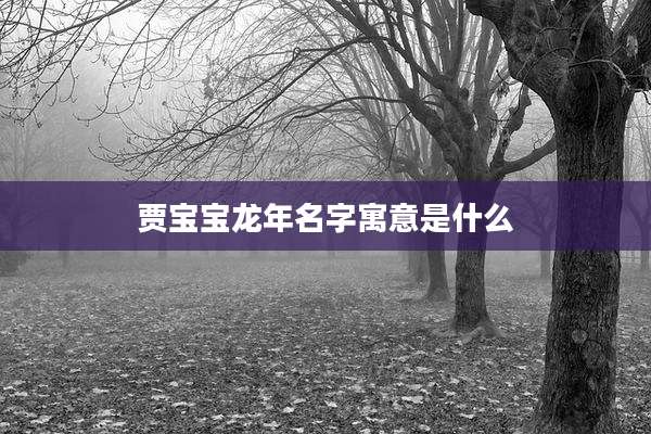 贾宝宝龙年名字寓意是什么
