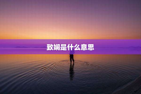 致娴是什么意思