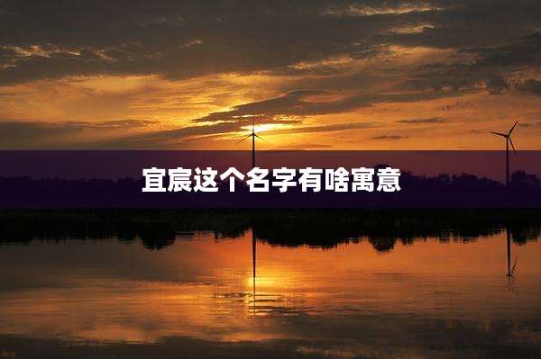 宜宸这个名字有啥寓意