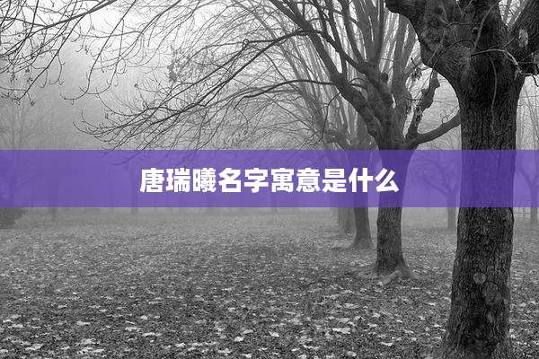 唐瑞曦名字寓意是什么